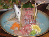 釣船茶屋 ざうお 亀戸店のおすすめレポート画像1