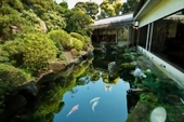 花長のおすすめレポート画像1