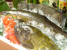魚がおいしいお店