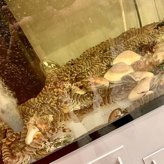 博多魚房 海さじのコース写真