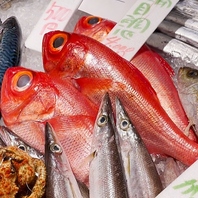 漁港、漁師さん直送の鮮魚