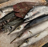市場から毎日仕入れる新鮮な魚介たち。秋刀魚など季節を感じる旬の鮮魚も豊富に取り揃え、一番美味しい状態・調理法でご提供いたします!目の前でふっくら香ばしく焼き上げる浜焼きスタイルで、旬の味覚を熱々のうちにお召し上がりください。日本酒との相性も抜群です◎