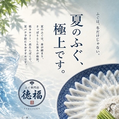 とらふぐを味わい尽くす「てっちり」の写真