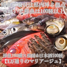 おいしい魚とこだわりの酒 とっちゃば特集写真1