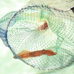 博多中洲 旬菜万葉のコース写真