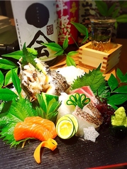 ひめいちえ 松山のコース写真