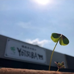 焼肉ホルモンYOTSUBA～四つ葉～の写真