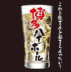 博多ハイボール