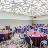 250名様と大人数でご利用頂ける大宴会場完備。分割でのご利用も可能ですので、ご利用人数に応じた会場設営でお送りいたします。