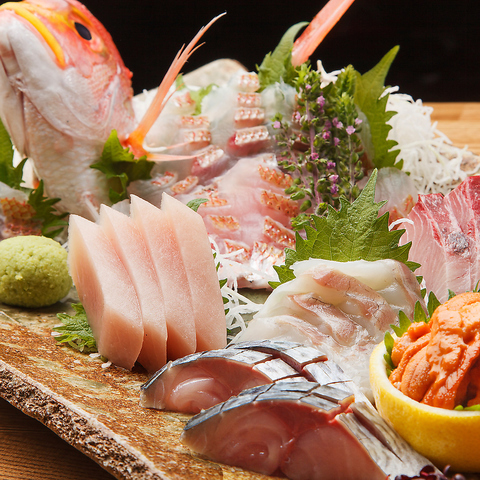 z̊CNƂ CR hakkaisan VwOX