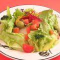 料理メニュー写真&nbsp;ディル風味のサーモンと野菜のサラダ