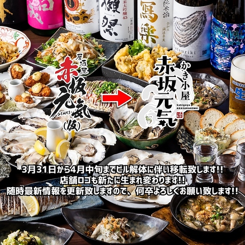 生牡蠣食べ放題は毎日いつでも承ります！！