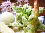 季節の天ぷらはサクッとした衣が美味い！日本酒のお供に。老若男女に人気の一品