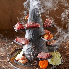 焼肉ラバー様用【2点セット：D654、D482】　USA製★ALPHA MA-1 焼肉セット A【和牛入り 1人焼肉・ソロキャンプに最適！】 | 坂本精肉店