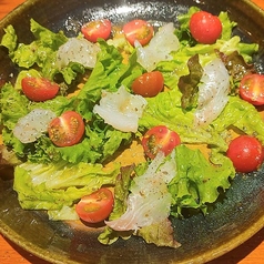 ・日替わりカルパッチョ ・とうふサラダ・シーザーサラダ・野菜サラダ