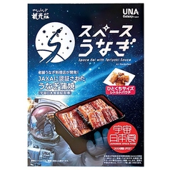 スペースうなぎ