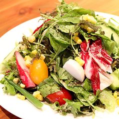 季節野菜のミックスサラダ