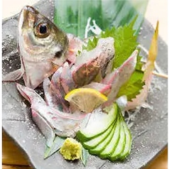 活あじ姿盛り／たたき