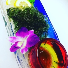 南国ダイニング ALOALOのコース写真