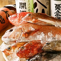 厳選鮮魚刺し（単品）680