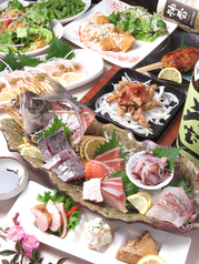 炭火焼鳥と厳選魚介 鶏ととのコース写真