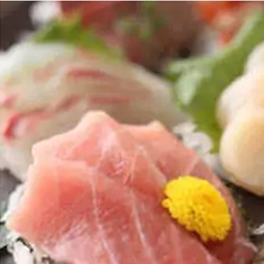 まぐろ赤身造り