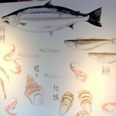 壁には、北海道で獲れる魚介達がたくさん！珍しいお魚や漢字で話題を提供します