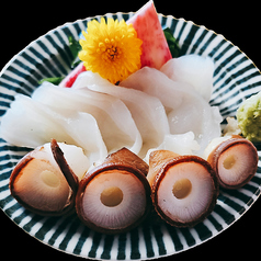 北海道産水タコ刺身