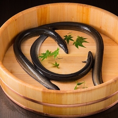 博多鰻屋 藤う那 天神本店の雰囲気2