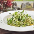 料理メニュー写真 しらすとブロッコリーのプーリア風