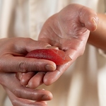 おつまみにも食事にも、一貫から楽しめます