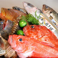 豊洲市場からの新鮮な魚