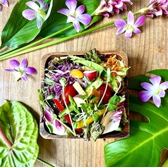 レギュラーサラダ