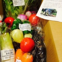 【産地直送野菜】山梨県から定期的に届く新鮮野菜