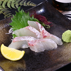 【朝〆】真鯛/ブリ/カンパチ/サーモン 各