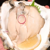 天草の恵のおすすめ料理3