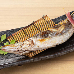 かます　塩焼き