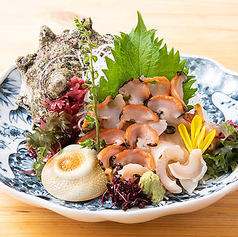 栄螺　<刺身又はつぼ焼き>　一個
