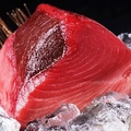 酒と魚と炉端焼き 海ごころの雰囲気1
