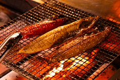 大衆魚食堂才蔵 飯田橋のコース写真