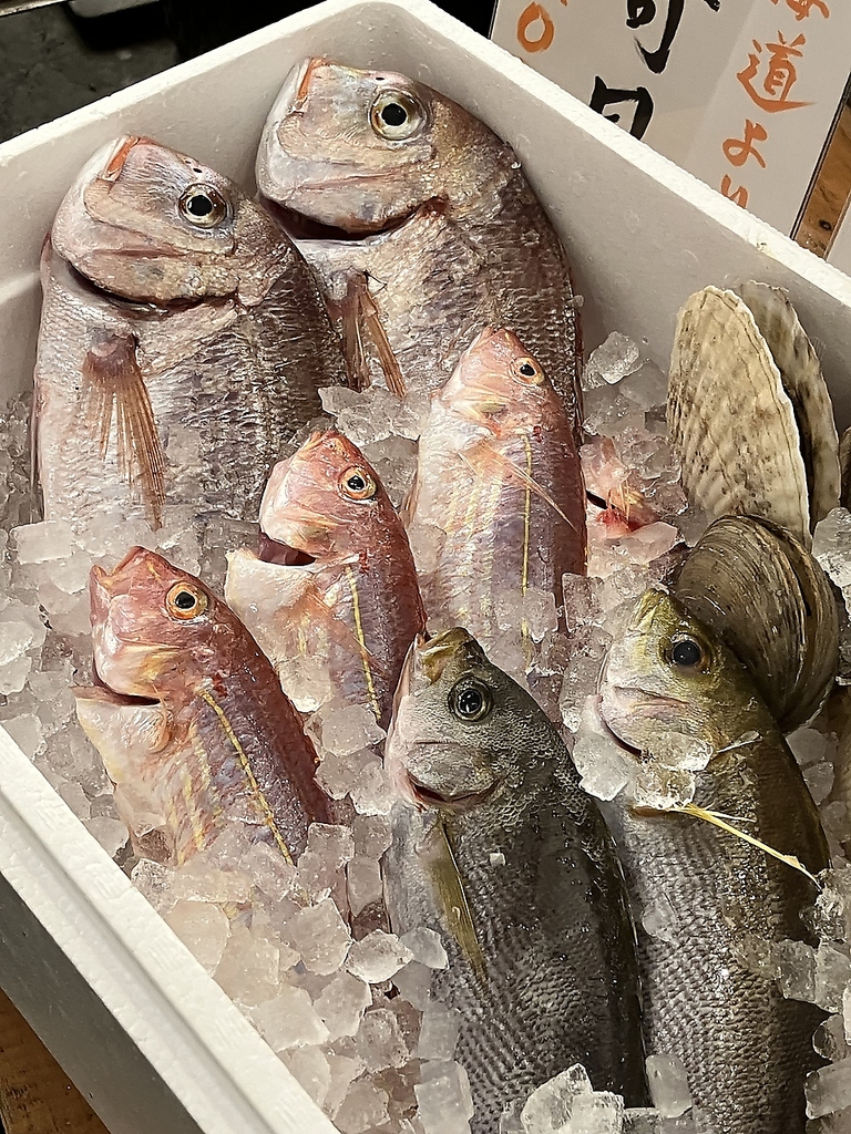 市場より直送！全国の新鮮鮮魚を自店で捌きます
