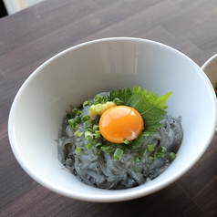 江ノ島産 朝穫れ生しらすボウル