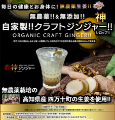 自家製ジンジャーエール 普通or辛口(ドライ)