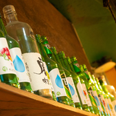 【大満足の飲み放題】多彩な韓国酒をお得に心ゆくまで楽しむ自慢の韓国料理と相性抜群な飲み放題プランをご用意！チャミスルやマッコリ等バリエーション豊かなお酒をお楽しみいただけます。美味しい料理と一緒に、お気に入りのお酒を好きなだけ堪能できるお得なプランは宴会に必須！賑やかな韓国の夜を満喫してください。