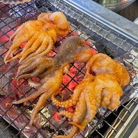 店長一押し！旬の海鮮やサイドメニューも充実！