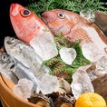 料理長が自ら目利きし、厳選した食材を使った料理をリーズナブルにご提供。独自の仕入れルートを活かし、素材の旨みを引き出した一品をお届けします。数量限定の料理もございますので、気になるメニューはお早めに。団体様のご宴会も承ります。人数やご予算など、お気軽にご相談ください♪