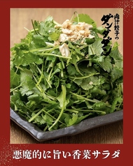 悪魔的に旨い香菜(パクチー)サラダ
