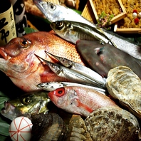 季節毎に変わる鮮魚をご堪能頂けます。
