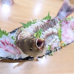 旬膳 だるまの写真