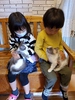 猫雑貨と猫カフェのお店 猫の手